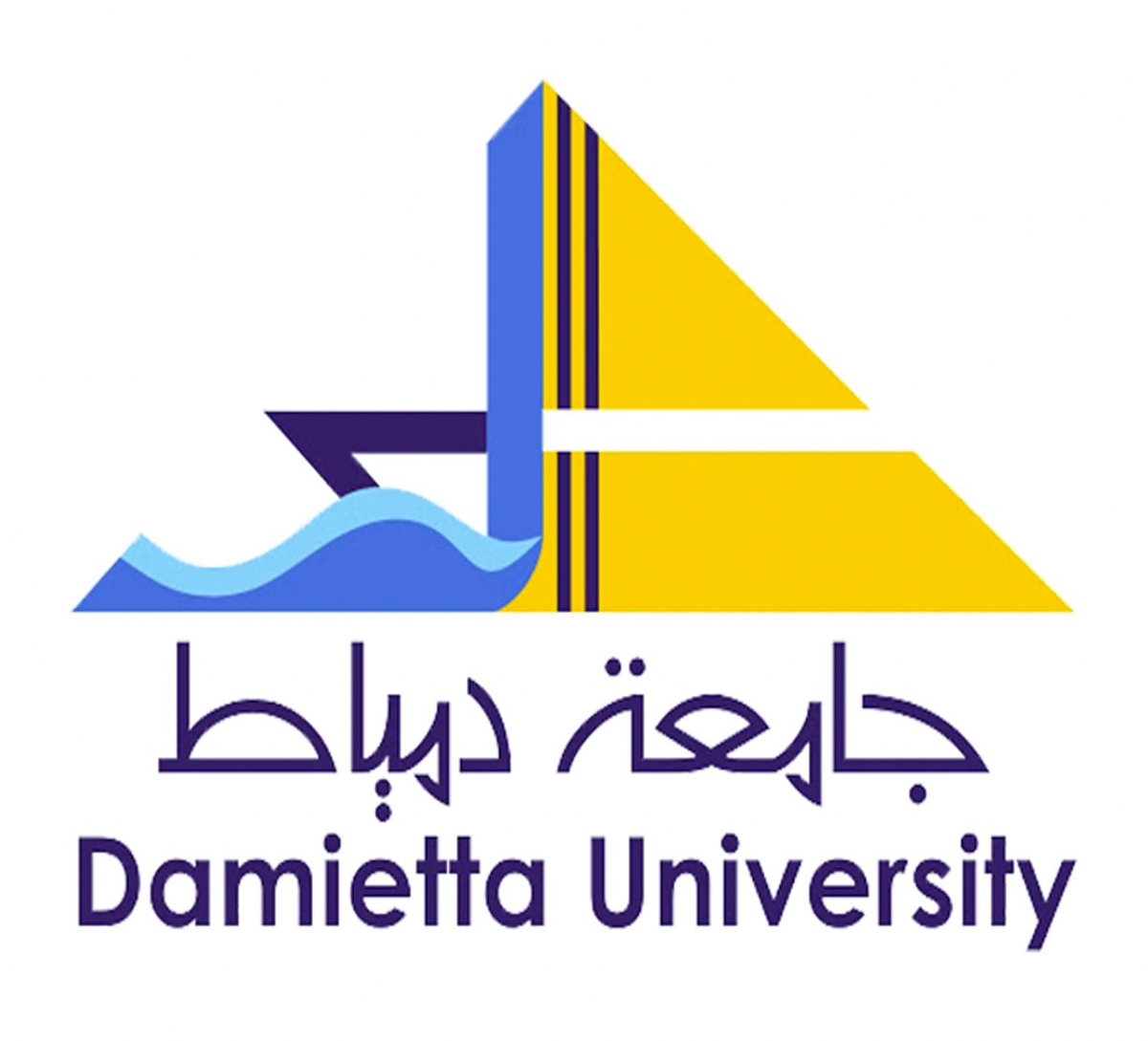 جامعة دمياط damietta university